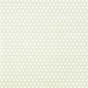 Pergola Green T12809 by Thibaut Wallpaper