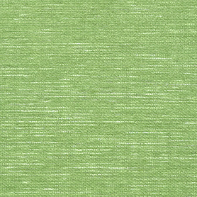 Surfrider Emerald Green T13107 by Thibaut Wallpaper Thibaut Wallpaper Surfrider Emerald Green T13107Wallpaper Summer House Paperweave KOREA </p><p>Repeat: V: - 36 - Fabric Carolina -