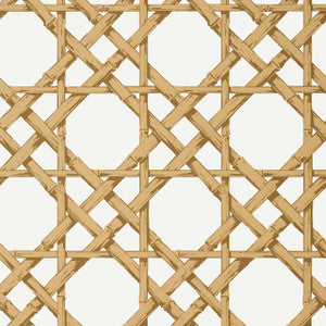 Cyrus Cane Gold T13144 by Thibaut Wallpaper
