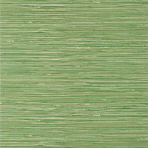St. Thomas Emerald T13340 by Thibaut Wallpaper
