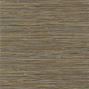 St. Thomas Black T13347 by Thibaut Wallpaper