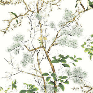 Katsura Green and White T13621 by Thibaut Wallpaper