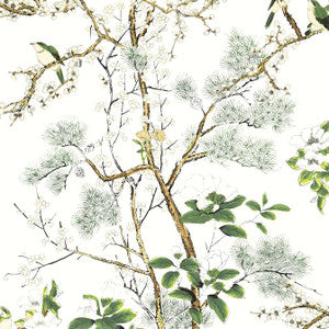 Katsura Green and White T13621 by Thibaut Wallpaper