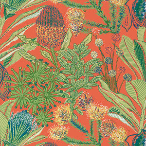 Protea Coral T13906 by Thibaut Wallpaper