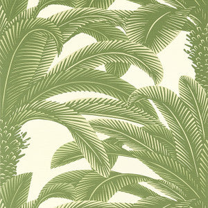 Queen Palm Sage T13911 by Thibaut Wallpaper