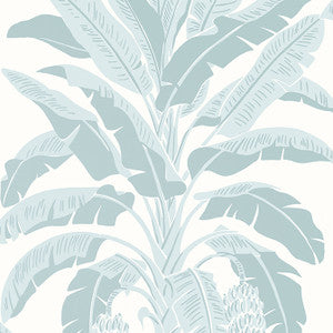 Banana Tree Spa Blue T13916 by Thibaut Wallpaper