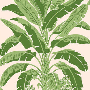 Banana Tree Pink and Green T13917 by Thibaut Wallpaper