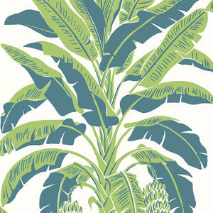Banana Tree Green and Blue T13918 by Thibaut Wallpaper