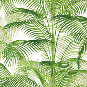 Delray Green T13938 by Thibaut Wallpaper