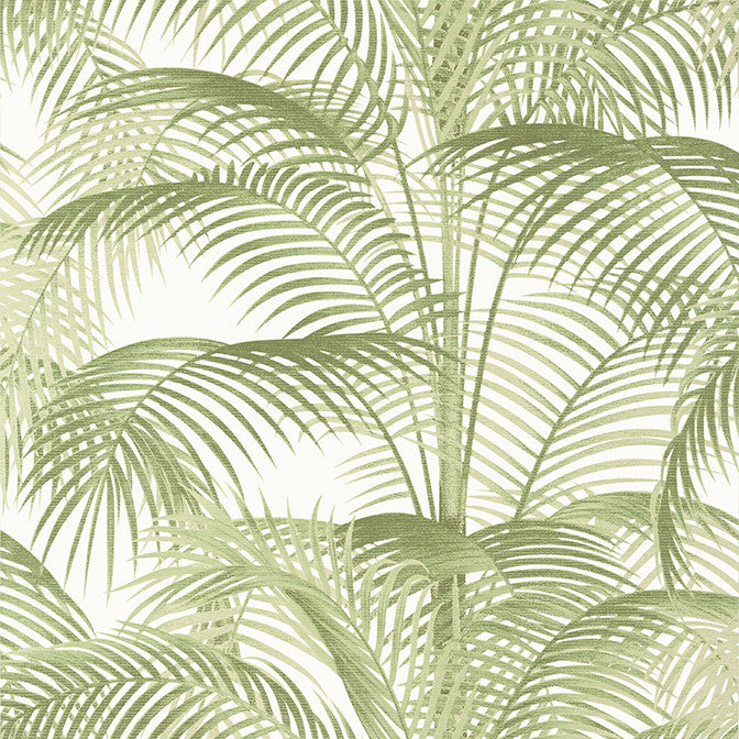 Delray Sage T13939 by Thibaut Wallpaper Thibaut Wallpaper Delray Sage T13939Wallpaper Palm Grove Non Woven Wallpaper UNITED KINGDOM </p><p>Repeat: V: 27.5 27 - Fabric Carolina -