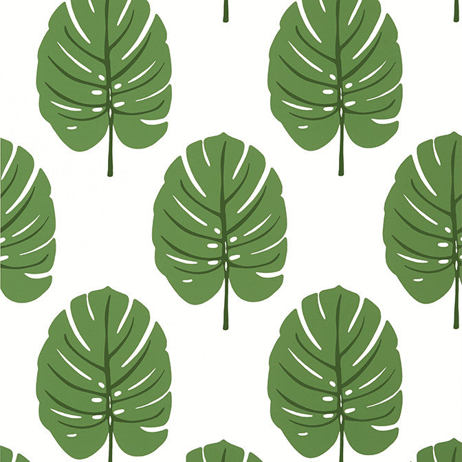 Monstera Green T13952 by Thibaut Wallpaper Thibaut Wallpaper Monstera Green T13952Wallpaper Palm Grove Wallpaper U.S.A. </p><p>Repeat: V: 18 27 - Fabric Carolina -