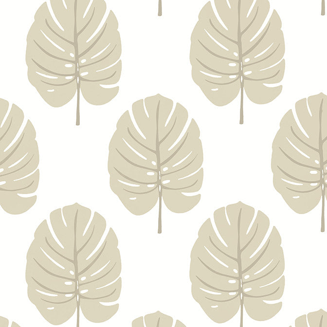 Monstera Beige T13956 by Thibaut Wallpaper Thibaut Wallpaper Monstera Beige T13956Wallpaper Palm Grove Wallpaper U.S.A. </p><p>Repeat: V: 18 27 - Fabric Carolina -