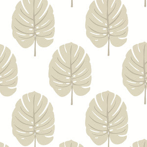 Monstera Beige T13956 by Thibaut Wallpaper