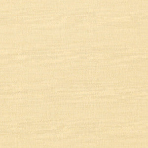 Coastal Sisal Cream T14107 by Thibaut Wallpaper
