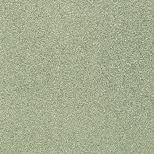 Minerals Teal T14151 by Thibaut Wallpaper