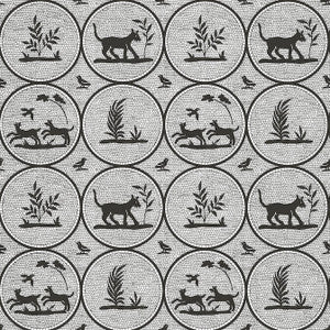 Dooley Black T14347 by Thibaut Wallpaper