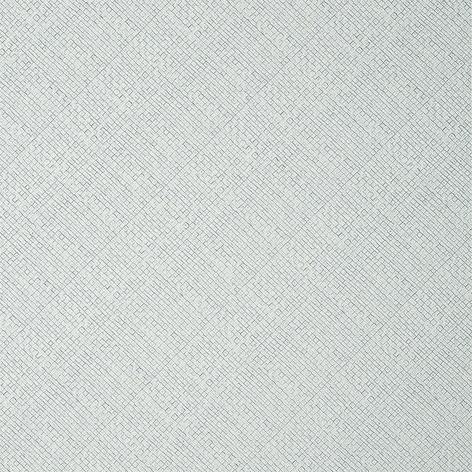 Jackson Weave Glacier T14505 by Thibaut Wallpaper Thibaut Wallpaper Jackson Weave Glacier T14505Wallpaper Texture Resource 8 Non-Woven Vinyl Wallpaper UNITED STATES </p><p>Repeat: V: 0 26 - Fabric Carolina -