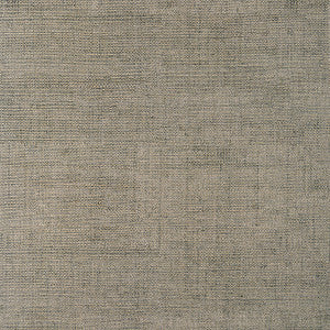Bankun Raffia Flannel T14515 by Thibaut Wallpaper