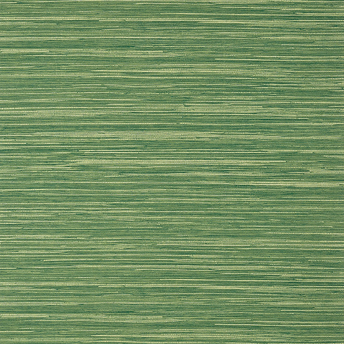 Normandy Emerald T14558 by Thibaut Wallpaper Thibaut Wallpaper Normandy Emerald T14558Wallpaper Texture Resource 8 Non-Woven Vinyl Wallpaper UNITED STATES </p><p>Repeat: V: 21 27 - Fabric Carolina -