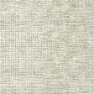 Spiro Taupe T14563 by Thibaut Wallpaper