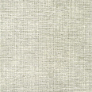Spiro Taupe T14563 by Thibaut Wallpaper