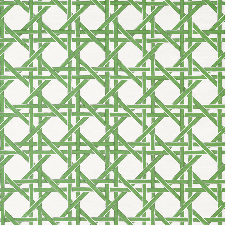 Canary Trellis Green T15819  by Thibaut Wallpaper Thibaut Wallpaper Canary Trellis Green T15819 Wallpaper ISLANDER Non-Woven Vinyl Wallpaper  U.S.A </p><p>Repeat: H: , V: 9  (22.86 cm) 27 in  (68.58 cm) - Fabric Carolina -