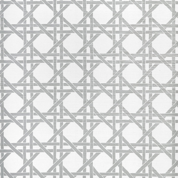 Canary Trellis Metallic Silver T15822  by Thibaut Wallpaper Thibaut Wallpaper Canary Trellis Metallic Silver T15822 Wallpaper ISLANDER Non-Woven Vinyl Wallpaper  U.S.A </p><p>Repeat: H: , V: 9  (22.86 cm) 27 in  (68.58 cm) - Fabric Carolina -
