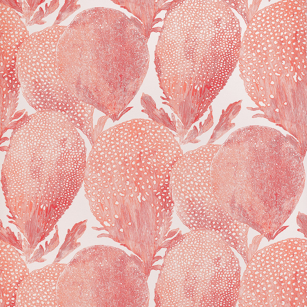 Under The Sea Coral T15825  by Thibaut Wallpaper Thibaut Wallpaper Under The Sea Coral T15825 Wallpaper ISLANDER Non-Woven Vinyl Wallpaper  U.S.A </p><p>Repeat: H: , V: 20.75  (52.70 cm) 27 in  (68.58 cm) - Fabric Carolina -