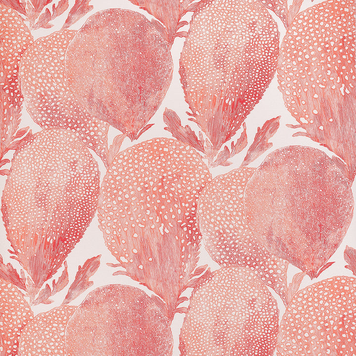Under The Sea Coral T15825  by Thibaut Wallpaper Thibaut Wallpaper Under The Sea Coral T15825 Wallpaper ISLANDER Non-Woven Vinyl Wallpaper  U.S.A </p><p>Repeat: H: , V: 20.75  (52.70 cm) 27 in  (68.58 cm) - Fabric Carolina -