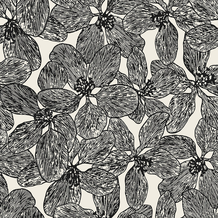 Island Orchid Black and White T15848  by Thibaut Wallpaper Thibaut Wallpaper Island Orchid Black and White T15848 Wallpaper ISLANDER Non Woven Wallpaper  U.S.A </p><p>Repeat: H: , V: 36  (91.44 cm) 27 in  (68.58 cm) - Fabric Carolina -
