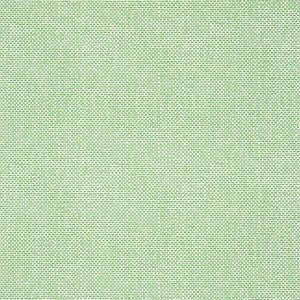Palawan Green T16261 by Thibaut Wallpaper