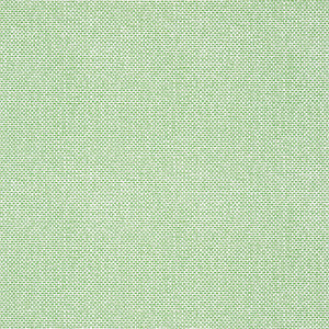 Palawan Green T16261 by Thibaut Wallpaper