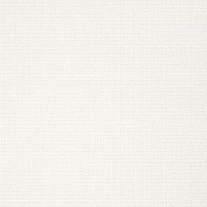 Palawan Beige T16265 by Thibaut Wallpaper