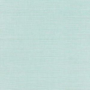 Shang Extra Fine Sisal Seaglass T19615 by Thibaut Wallpaper