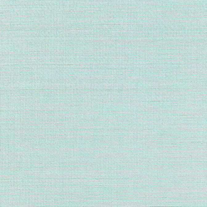 Shang Extra Fine Sisal Seaglass T19615 by Thibaut Wallpaper Thibaut Wallpaper Shang Extra Fine Sisal Seaglass T19615Wallpaper Grasscloth Resource 6 Extra Fine Sisal CHINA </p><p>Repeat: V: - 36 - Fabric Carolina -
