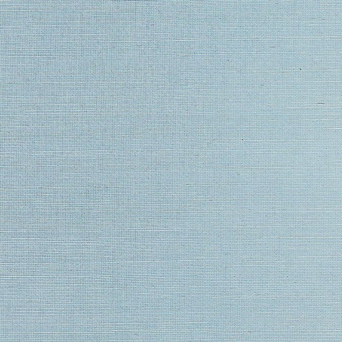 Shang Extra Fine Sisal Seawater T19616 by Thibaut Wallpaper Thibaut Wallpaper Shang Extra Fine Sisal Seawater T19616Wallpaper Grasscloth Resource 6 Extra Fine Sisal CHINA </p><p>Repeat: V: - 36 - Fabric Carolina -