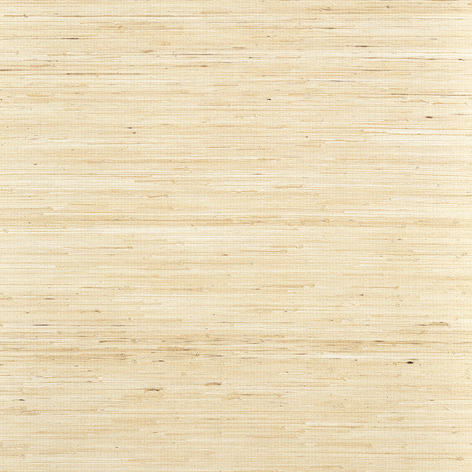 Sydney Paperwhite T19653 by Thibaut Wallpaper Thibaut Wallpaper Sydney Paperwhite T19653Wallpaper Grasscloth Resource 6 Jute CHINA </p><p>Repeat: V: - 36 - Fabric Carolina -