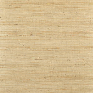 Sydney Light Taupe T19654 by Thibaut Wallpaper