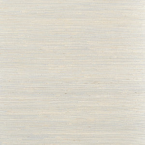 Sydney Coventry Grey T19657 By Thibaut Wallpaper