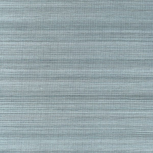 Windward Sisal Stormy Blue T19668 by Thibaut Wallpaper