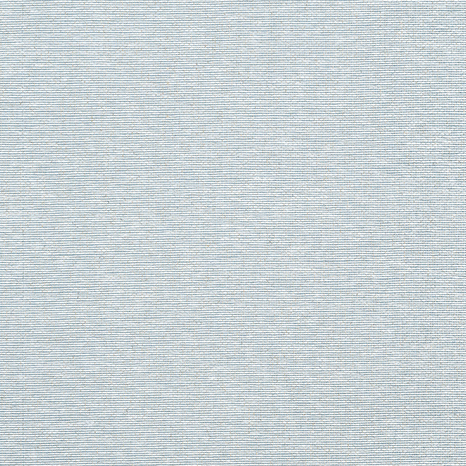 Edward'S Paper Robin's Egg T19699 by Thibaut Wallpaper Thibaut Wallpaper Edward'S Paper Robin's Egg T19699Wallpaper Grasscloth Resource 6 Paperweave KOREA, REPUBLIC OF </p><p>Repeat: V: 0 36 - Fabric Carolina -