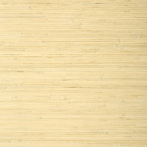 Raffia Palm Natural T24065 by Thibaut Wallpaper
