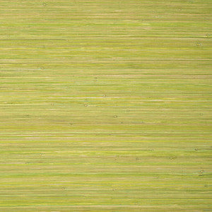 Raffia Palm Apple Green T24070 by Thibaut Wallpaper