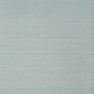 Tabacon Abaca Mineral T24120 by Thibaut Wallpaper