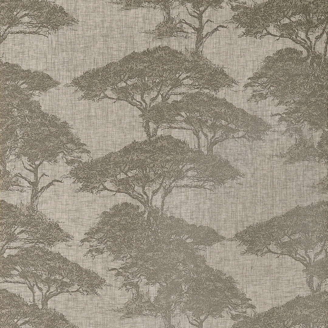 TORREY PINES - Beige and Black by Thibaut Wallpaper
