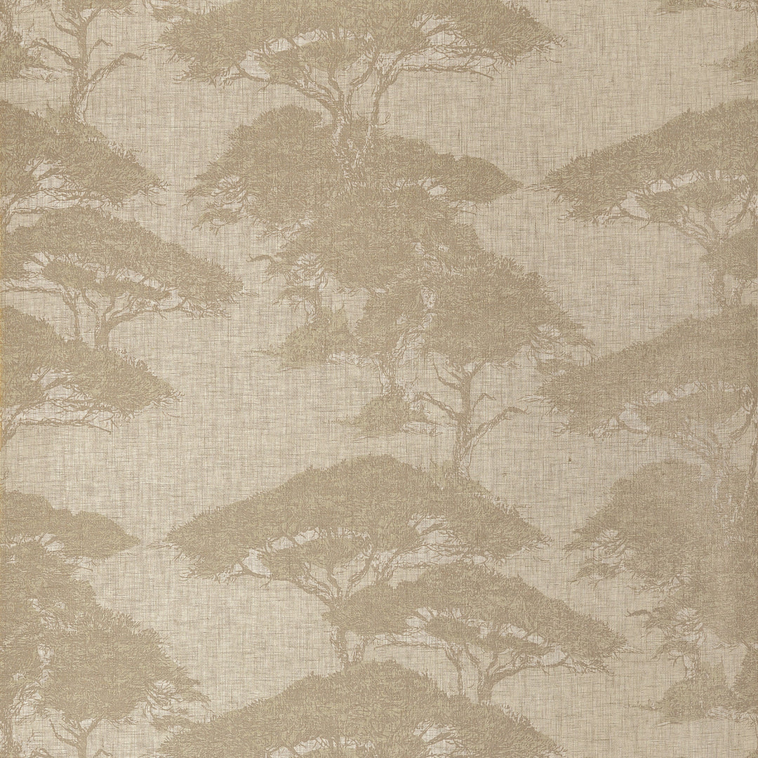 TORREY PINES - Champagne by Thibaut Wallpaper