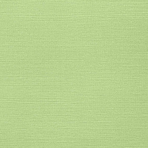 Taluk Sisal Spring T287 by Thibaut Wallpaper