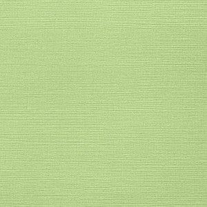 Taluk Sisal Spring T287 by Thibaut Wallpaper