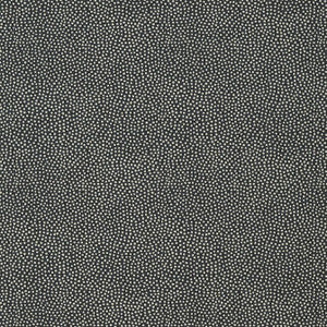Turini Dots Black T2962 by Thibaut Wallpaper