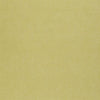 SAGRI - Sea Palm by Thibaut Wallpaper